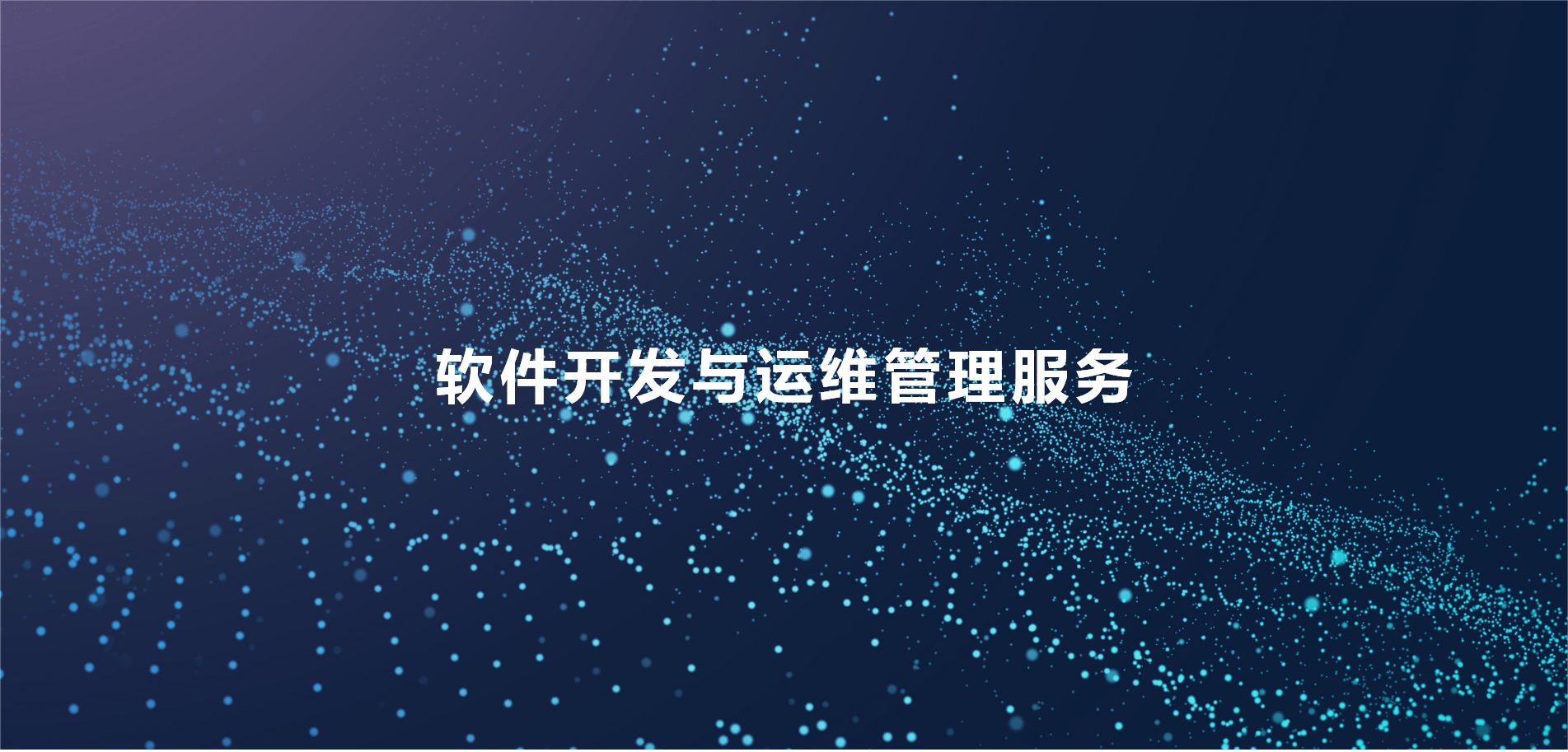 软件开发与运维治理服务